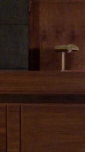 📝 Як скласти та подати позовну заяву про розірвання шлюбу через суд