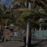 📚Стаття 21 Розкладу хвороб наказу №402 відкриває завісу на комплексні захворювання центральної нервової системи