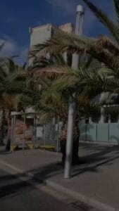 📚Стаття 21 Розкладу хвороб наказу №402 відкриває завісу на комплексні захворювання центральної нервової системи