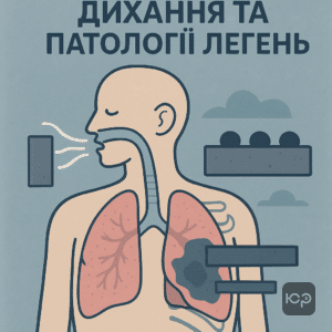 Патології органів дихання, що ускладнюють дихання і призводять до другої групи інвалідності, включаючи анатомічні дефекти та функціональні порушення легень.