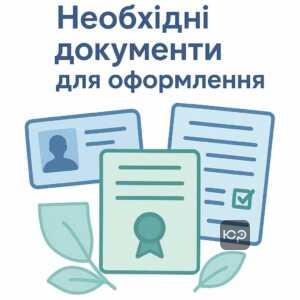 Перечень необходимых документов для оформления согласно Семейному кодексу Украины, который включает заявление, паспорта, свидетельства о браке и рождении ребенка, а также справки о регистрации места жительства и дополнительные финансовые документы.