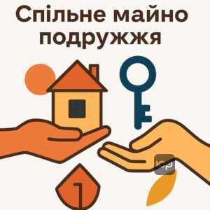 Объяснение принципов совместной собственности супругов и ее разграничение в соответствии с Семейным кодексом Украины, с примерами личного и общего имущества.