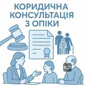 Підготовчий етап і ключові умови оформлення опіки над недієздатними особами, юридичні консультації та вимоги законодавства України для захисту прав і майна.