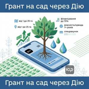 грант на створення саду через дію та умови фінансування агробізнесу