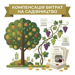 компенсація за саджанці винограду та державна підтримка садівництва 2026