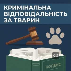 Кримінальна відповідальність за статтею 299 ККУ за жорстоке поводження з тваринами
