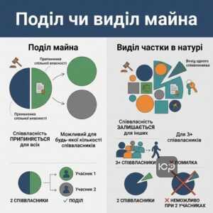 Різниця між поділом майна та виділом частки в натурі