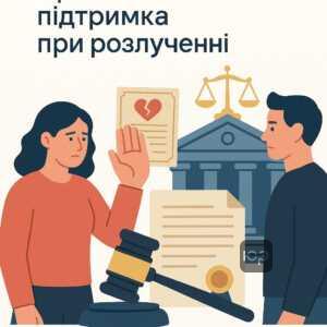 Правова підтримка в суді при розлученні, захист прав у випадку перешкоджання партнером, юридичні механізми доказів і процедури збору документів