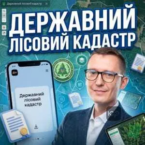 derzhavnyy-lisovyy-kadastr