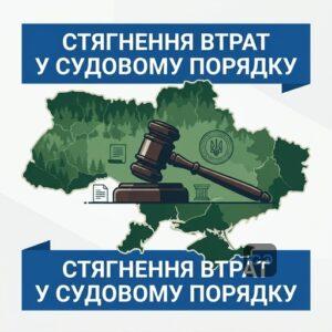 Повноваження Держгеокадастру щодо стягнення втрат лісу через суд