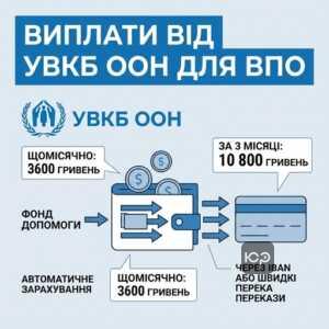 допомога ВПО від міжнародних організацій ООН 3600 гривень щомісяця