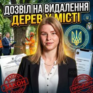 dozvil-na-vydalennia-derev-u-misti
