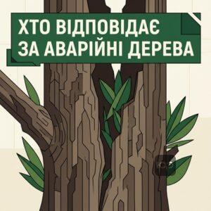 Хто відповідає за падіння дерева на автомобіль та як встановити вину комунальних служб
