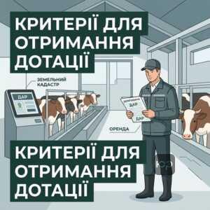 Фермер перевіряє документи на отримання дотації за утримання корів через ДАР