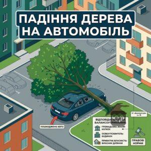 Процесс возмещения убытков от падения дерева на автомобиль в городском дворе