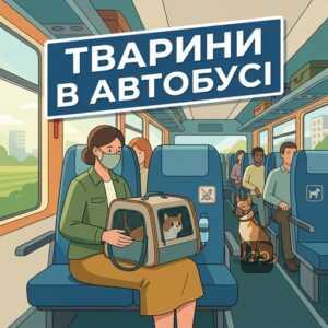 Перевезення тварин в автобусі правила та відповідальність власника