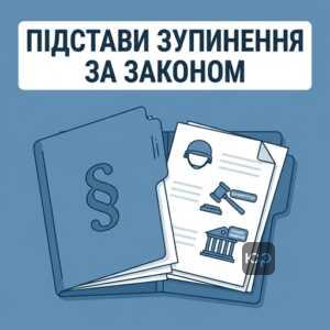 Підстави для зупинення виконавчих дій за статтею 34 Закону України