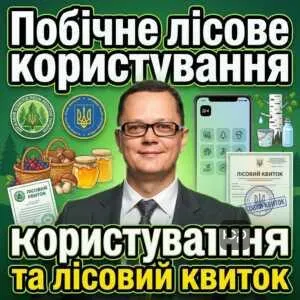 pobichne-lisove-korystuvannia-ta-lisovyy-kvytok