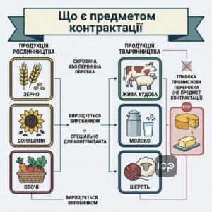 Предмет договору контрактації сільськогосподарської продукції та вимоги до сировини