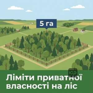 Приватна власність на ліс в Україні обмеження 5 гектарів