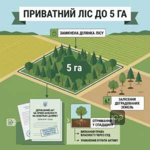 Частная собственность на лесной участок до 5 гектаров в Украине