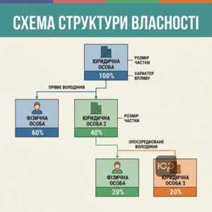 Схематичне зображення структури власності юридичної особи зразок