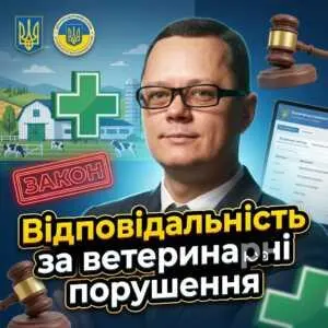 vidpovidalnist-za-veterynarni-porushennia