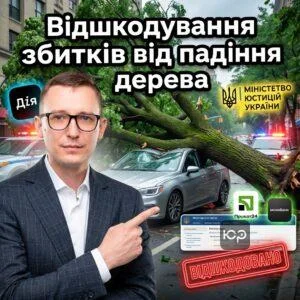 vidshkoduvannia-zbytkiv-vid-padinnia-dereva