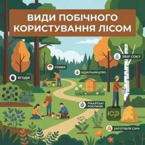 Побічне лісове користування в Україні перелік видів діяльності
