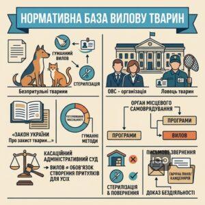 Нормативна база та вилов безпритульних тварин в Україні