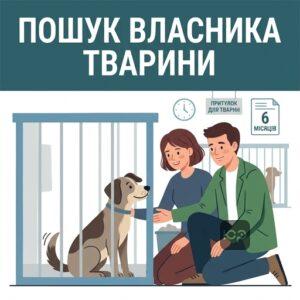 Пошук власника виловленої тварини та притулок