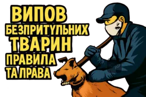 vylov-bezprytulnykh-tvaryn-pravyla-ta-prava