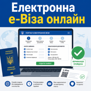 Порядок подачи заявки на электронную визу онлайн