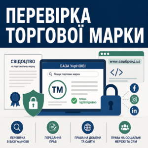 Проверка прав на торговую марку и нематериальные активы компании