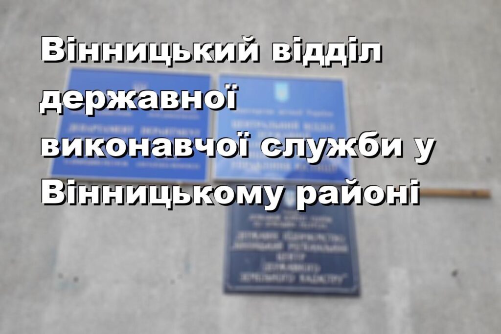 Вінницький відділ державної виконавчої служби у Вінницькому районі