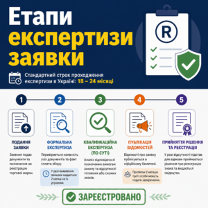 Этапы экспертизы заявки: когда идет регистрация товарного знака