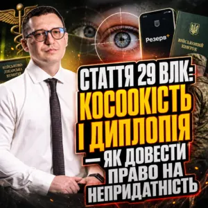 stattya-29-vlk-24-10